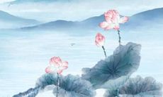 1983年猪女在2022年运势