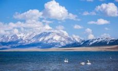 做梦梦见星星好不好