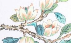 2022属猴人的运势如何