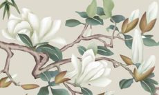 化解刑太岁的最有效方法