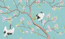 属猴和属羊2022感情运势如何