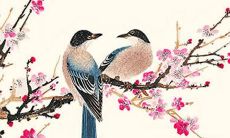 属马2022年的运势图