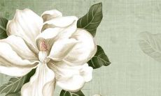 2023年什么属相犯太岁