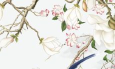 属猴2022年运势衰