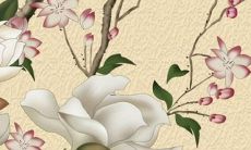 什么生肖最旺虎的财运