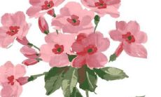 2022属羊人运势1991