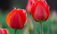 梦见蜡烛点不着是什么意思