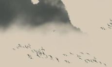 83年猪女在2022年里的运势