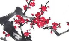 属虎人2022年什么时候运势好