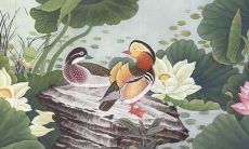 好听粤语的女孩名字