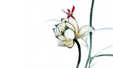 属虎的人适合戴玉手镯吗