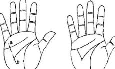 川字掌的男人事业、婚姻以及财运如何