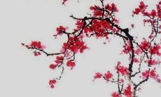 2022年虎年男孩取名字喜好