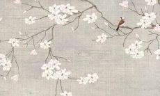 戊午年生人2022女性运势