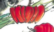 2022属相马每月运势