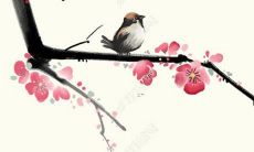 属羊2022运势及运程李居明