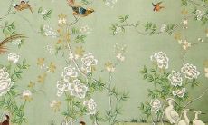 74年出生2022年运势如何