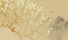 2022年个人星盘运势