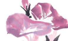 2022年兔子的运势如何招财