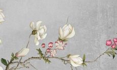 2022年是什么属相