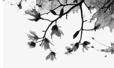 癸丑年2022年运势