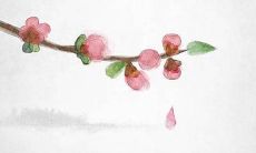 猪女2022年每月运势