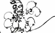 壬寅虎年 戌狗的运气与策划