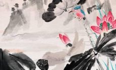 今年出生的虎宝宝取名字