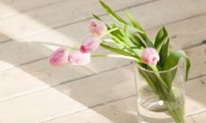 响亮吉祥的缺火名字 缺火男孩名字简单大气