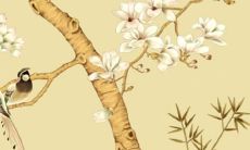 天蝎女2022本命年运势