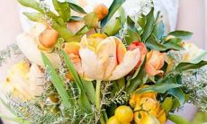 勇于承认自己不足，虚心自学的星座