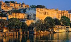 2022年生的三月虎男的命运怎么样