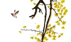 与璇字搭配的名字女孩寓意