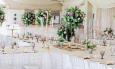 工作只考虑兴趣不考虑薪资的五大星座