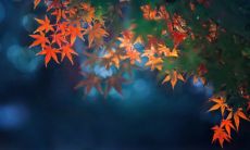 女孩冰字霸气十足名 积极乐观的冰字名字