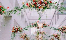 那时青春正好十二星座却做这些逗逼事