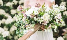 星座代表吸血鬼