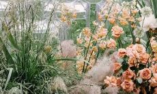 即使忧郁了这些星座还是会嘻嘻哈哈