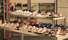 梦见捡到贝壳是什么意思