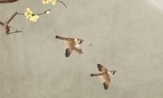 演员，最会装傻充愣的星座