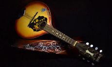 梦见水仙花好吗，梦见水仙花代表了什么？