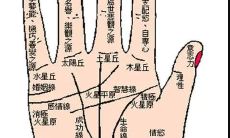 手相分析感情线恋爱次数怎么看 分叉表示有2-3段