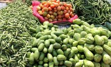 梦见白酒是什么意思