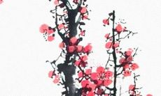 绝不低头 不达目的不罢休的星座女