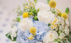 喜欢漂泊 会出去看看的四大星座