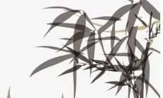 含山含王的女孩名字