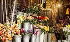 2009年三月二十五是什么星座