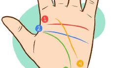 男人不同婚姻线的类型大全解析 什么样的婚姻线不好