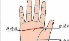 婚姻线很多条的男人性格命运 爱情较为坎坷