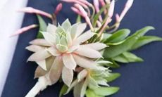 憋得住心事从不跟人诉说的星座